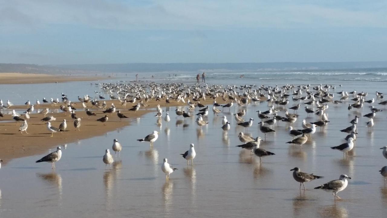 Sunset Beach Costa de Caparica Ngoại thất bức ảnh